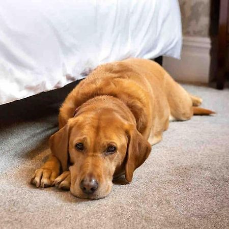 The Stanley Suite 1 Bedroom Apt Dog Friendly Patio Harrogate Bagian luar foto